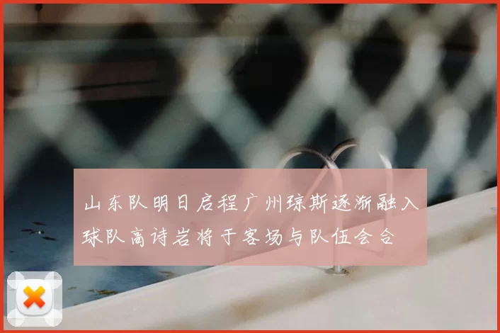 山东队明日启程广州琼斯逐渐融入球队高诗岩将于客场与队伍会合