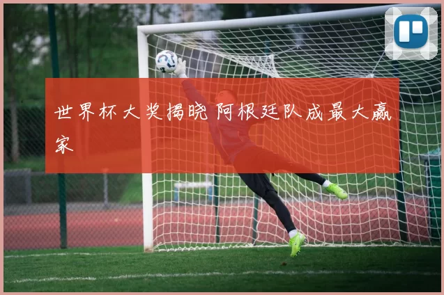 世界杯大奖揭晓 阿根廷队成最大赢家