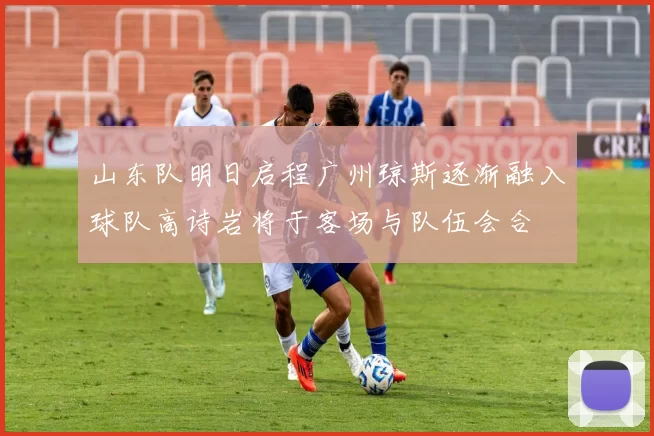 山东队明日启程广州琼斯逐渐融入球队高诗岩将于客场与队伍会合