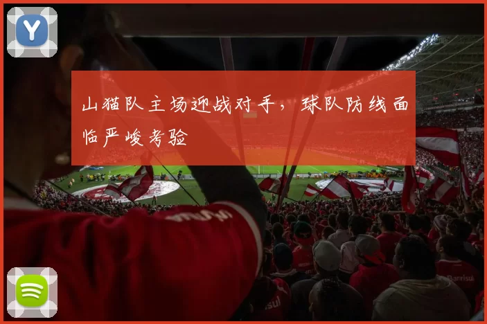 山猫队主场迎战对手，球队防线面临严峻考验