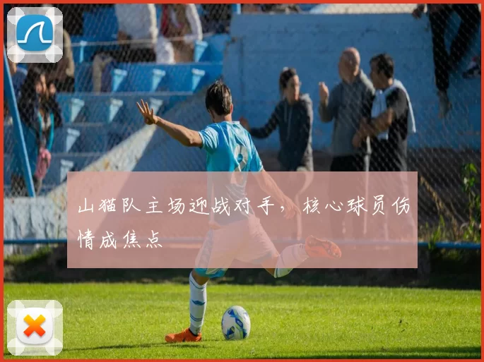 山猫队主场迎战对手，核心球员伤情成焦点
