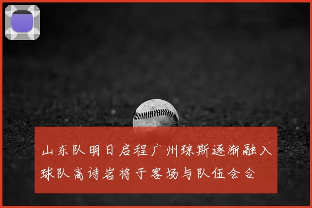山东队明日启程广州琼斯逐渐融入球队高诗岩将于客场与队伍会合