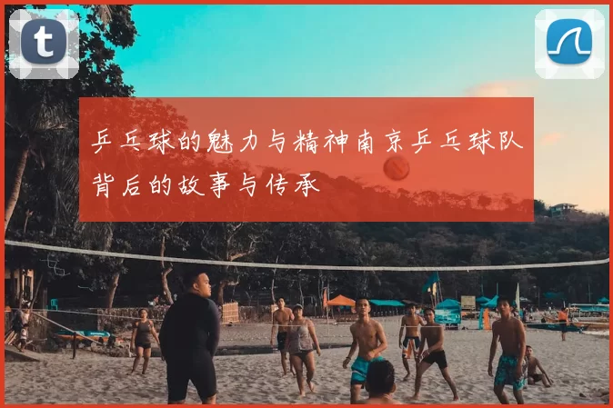 乒乓球的魅力与精神南京乒乓球队背后的故事与传承