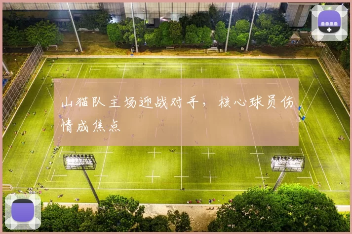 山猫队主场迎战对手，核心球员伤情成焦点