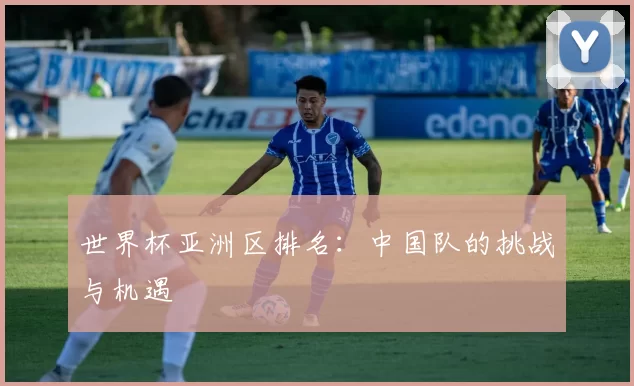世界杯亚洲区排名：中国队的挑战与机遇
