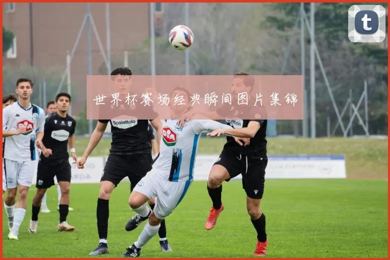 世界杯赛场经典瞬间图片集锦