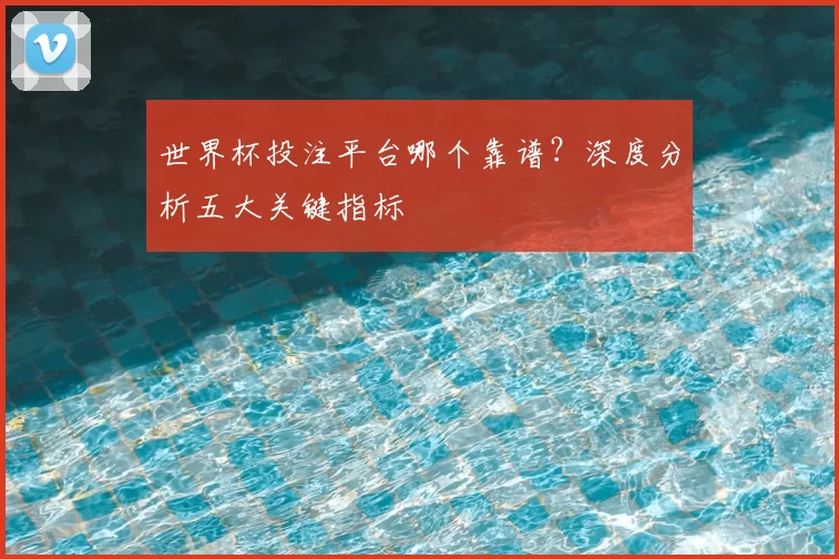 世界杯投注平台哪个靠谱?深度分析五大关键指标