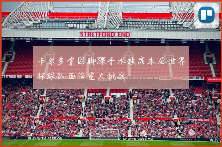 卡尔多索因脚踝手术缺席本届世界杯球队面临重大挑战