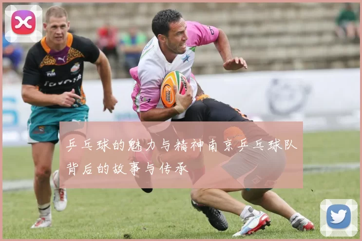 乒乓球的魅力与精神南京乒乓球队背后的故事与传承
