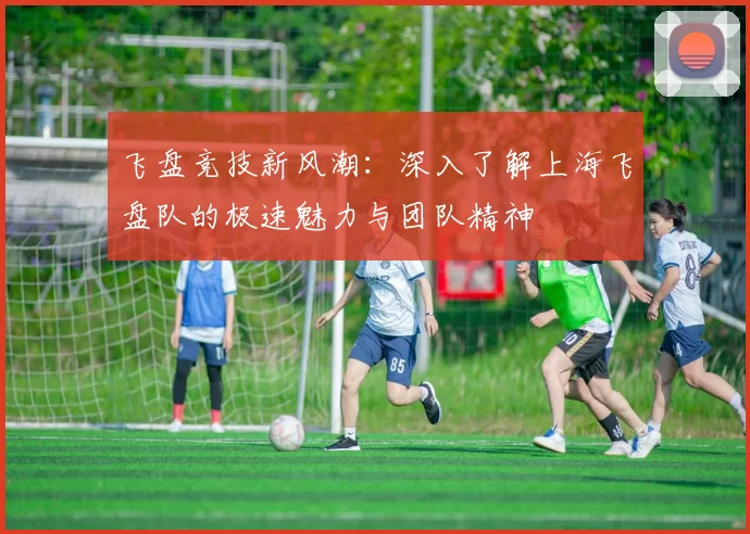 飞盘竞技新风潮:深入了解上海飞盘队的极速魅力与团队精神